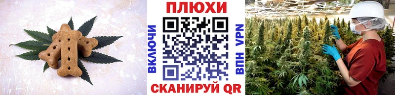 Canna-Cookies марихуана Далматово