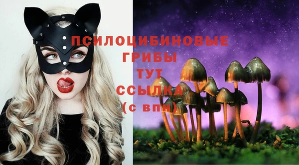 тгк Горняк