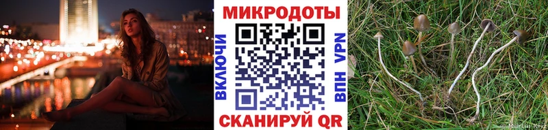 блэк спрут как войти  Далматово  Галлюциногенные грибы MAGIC MUSHROOMS 